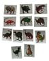 Dinosaur Tattoos - 72 per unit