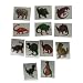 72 Dinosaur Temporary Tattoo Tattoos Stickers 2"
