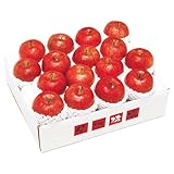 �M�B�T���ӂ����5Kg