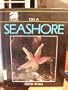 24 Hours on a Seashore (24 Hours Series)