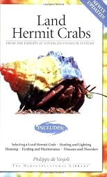 Land Hermit Crabs
