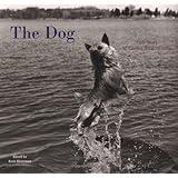 the dog 100 years of classic photography
