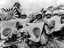 Jungle and Ocean - Pacific Theatre 1943 - 1945