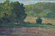 Summer Pasture