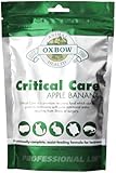 Oxbow Critical Care Apple/Banana Pet Supplement, 1-Pound