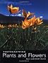Photographing Plants and Flowers