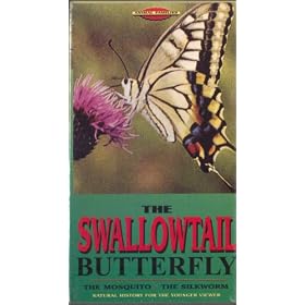 Animal Families: The Swallowtail Butterfly [VHS]