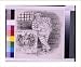 Historic Print (L): The spirit of Tweed is mighty still ...and even yet you don't kno...