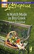 A Match Made in Dry Creek (Dry Creek Series #10) (Love Inspired #391)