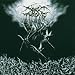 Sardonic Wrath