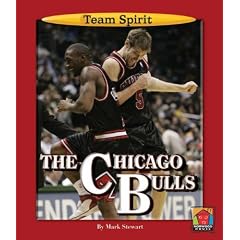 The Chicago Bulls (Team Spirit)