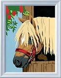 Review Ravensburger  / Paint By Numbers - Pony in Stable