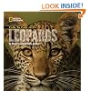 Face to Face with Leopards