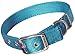 Hamilton Double Thick Nylon Deluxe Dog Collar, 1-Inch by 22-Inch, Teal