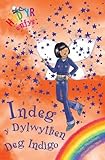 Indeg y Dylwythen Deg Indigo