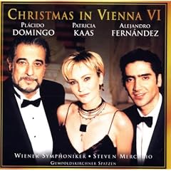 Christmas in Vienna 6