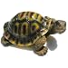Resin Garden Turtle Figurine