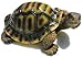 Collectible Badges Resin Garden Turtle Figurine