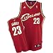adidas Cleveland Cavaliers #23 LeBron James Youth Red Swingman Basketball Jersey (Large)