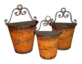Set of 3 Wrought Iron, Metal Wall Planter with Fruit Designs