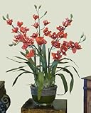 IMAGE OF Red Cymbidium Faux Orchid Design O125-45
