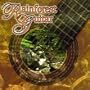 Rainforest Guitar