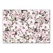 Scattered Roses Tissue Paper (100 ct)