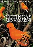 Cotingas and manakins