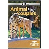 Nature: Animal Odd Couples