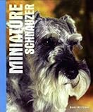 Miniature schnauzer
