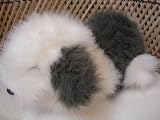 Dakin Puppet Dog 14