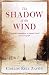 The Shadow Of The Wind