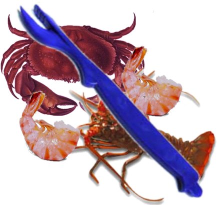 5 Pack Sea Sheller for Crab, Lobster & Prawns