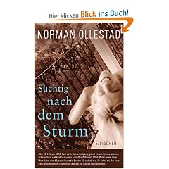 S�chtig nach dem Sturm