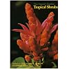 Tropical Shrubs (The Hawai'i Garden, Vol 2)