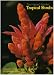Book Tropical Shrubs (The Hawai'i Garden, Vol 2)