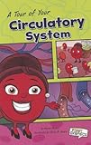 The circulatory system : where do I get my energy?