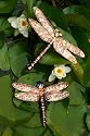 Cosmic Creatures - Dragonfly - 2 set - Copper Speckle