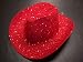 Sparkle Glitter Western / Red / Red Hat Lady Society