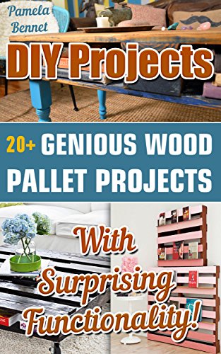 DIY Projects: 20+ Genious Wood Pallet Projects With Surprising Functionality!: (Wood Pallet, DIY projects, DIY household hacks, DIY projects for your home and everyday life, Recycle)
