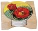 CounterArt Cactus Blooms Design Round Absorbent Coasters in Wooden Holder, Set of 4 Assorted
