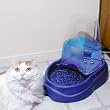 Petmate Ultra Bubbler Watering System, Medium, Peacock Blue Petmate Ultra Bubbler Watering System, Medium, Peacock Blue
