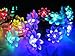 M&T TECH solar Christmas Fairy string lights 20 Led Double Lotus Flower Lights for Outdoor Garden Patio(Multi color)