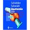 Vorklinik-B�cher f�r Medizinstudenten