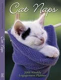 2008 Cat Naps Weekly Engagement 2008 Wall Calendar **IN STOCK NOW**