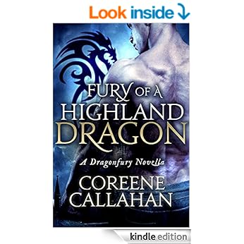 fury of dragon book cover