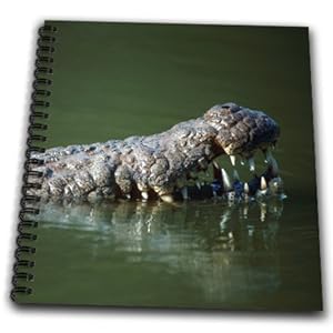 (db_208989_1): paper Africa. Book south 8  africa 8 craft inch Arts, supplies Drawing South  Crafts  x