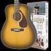 Yamaha F325 Gigmaker Standard Full Size Guitar Package with Tobacco Brown Sunburst Finish