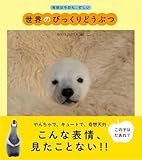 À¤³¦¤Î¤Ó¤Ã¤¯¤ê¤É¤¦¤Ö¤Ä