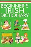 Beginner's Irish dictionary